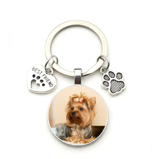 chaveiro-personalizado-com-a-foto-do-seu-pet-1-unidade-644fa72182d9b-large